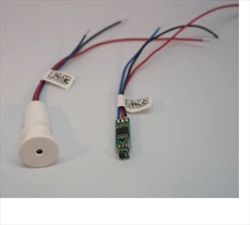 Sensor đo nhiệt độ  - SS-WALL-TH- iButton Link